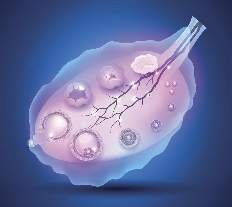 2026福州私人机构试管婴儿费用表公布，准备多少钱心中有数？